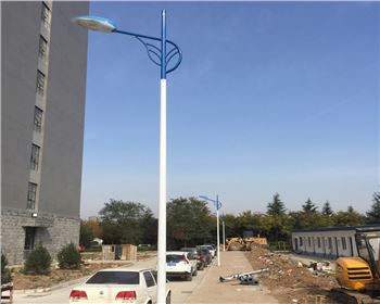 甘肅市電路燈-甘肅省西安市西北大學(xué)長安校區(qū)路燈工程